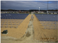 Solar Field at Kent County Wastewater Treatment Facility