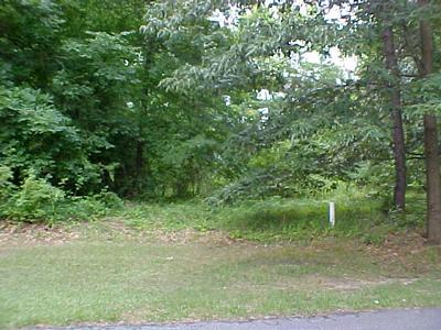 VIEW OF HIGDON LAUREL DRIVE RESIDENTIAL LOT FROM FRONT NORTH