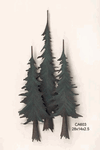 Pine Trees 