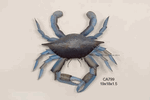 Blue Claw Crab 