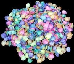 Tiny Teaspoon Shells: Dyed