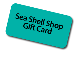 Sea Shell Shop Gift Cards