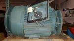 50 HP Reliance Vertical Solid Shaft 1800 RPM 365HP Frame TEFC