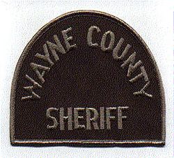 Sheriff: MI, Wayne Co. Sheriff Patch (brown)