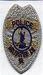 Arlington Co. Police Patch (cap badge, silver) (VA)