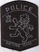 Baytown SWAT Police Patch (TX)